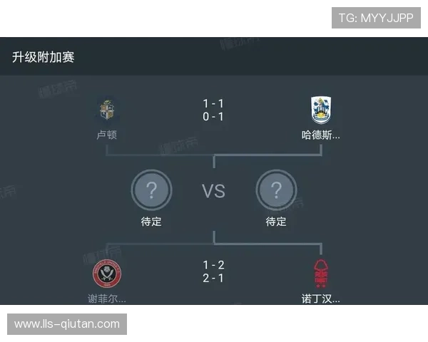 诺丁汉森林财务违规案新进展，英超联盟启动调查程序